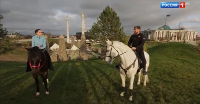 Лошадь Кадырова - Меандре заняла призовое место на престижных скачках в  Дубае