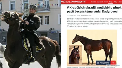 Рамзан Кадыров заработал 100 миллионов рублей на скачках с участием своих  лошадей. В его декларации этот доход не указан — Meduza