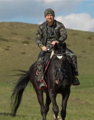 Гоните лошадей: Кадыров предложил обменять украинских пленных на своих  скакунов - МК