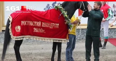 Лошади Рамзана Кадырова примут участие в Dubai World Cup -  Благотворительность