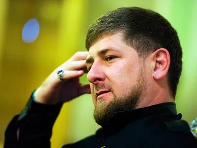 Лошади Рамзана Кадырова: президент Чечни купил в подарок дочке коня породы  тинкер - 24 сентября 2021 - НГС42.ру