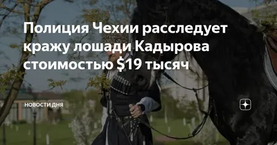 Кадыров написал о пропаже своего коня Зазу | Радио 1