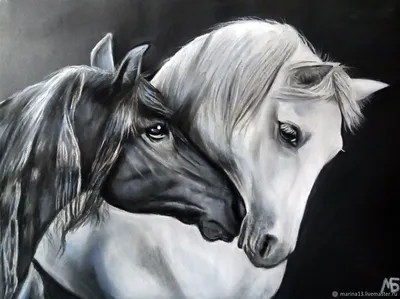 Черный конь и белая лошадь, любовь…» — создано в Шедевруме