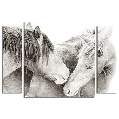 Купить картина по номерам Paintboy Любовь лошади, 40x50 см, цены на  Мегамаркет | Артикул: 600000325101