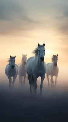 Модульная картина \"Любовь и лошади\"