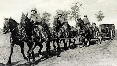 Лошади во Второй Мировой войне | Незанудные истории | Дзен