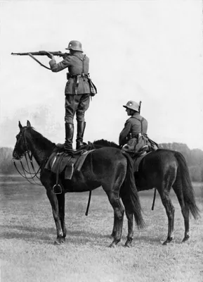 Немецкая кавалерия, стреляющая с лошадиных спин, 1935 | Пикабу