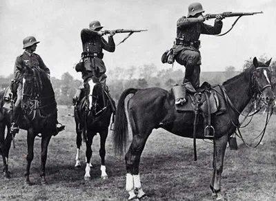 Лошади во Второй Мировой войне | Незанудные истории | Дзен