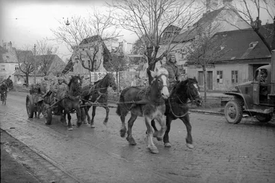Фото \"Лошади на войне\", апрель 1945, Австрия - История России в фотографиях