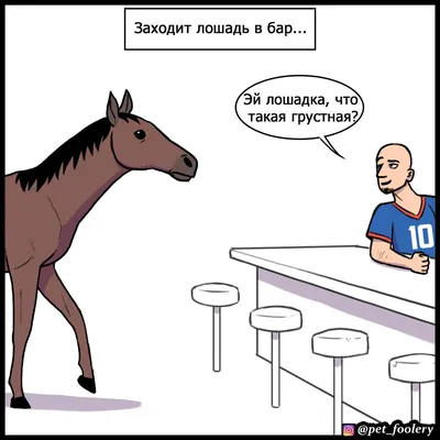 Из Сибири в Адыгею | Любопытная лошадка! 🐴 #shorts #лошадь #приколы  #животные #юмор #короткиевидео #лошадки #изсибиривадыгею | Дзен