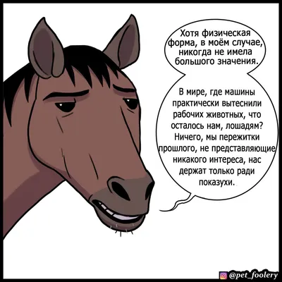 смешные лошади стоковое изображение. изображение насчитывающей смеяться -  24329145