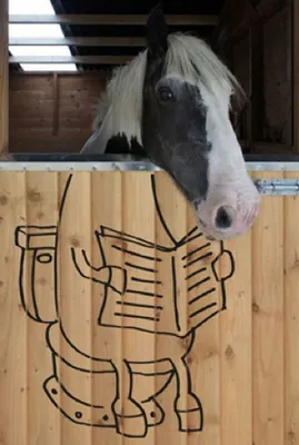 смешные лошади в конюшне стоковое фото. изображение насчитывающей загон -  216938328