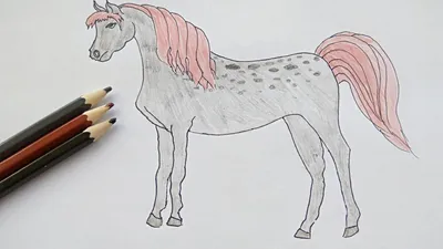 Конь | Пикабу