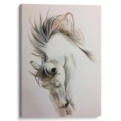 рисунок Конь клипарт черно белый PNG , рисунок лошади, рисунок губ, черно  белый рисунок PNG картинки и пнг PSD рисунок для бесплатной загрузки