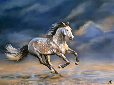 Штриховые рисунки Пони Мустанг Грива, Мустанг, лошадь, лошадь Tack,  транспорт png | Klipartz