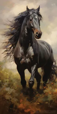 Картина с лошадью \"Быстрее ветра\". Картина лошадь, лошади в  интернет-магазине Ярмарка Мастеров по цене 8500 ₽ – RCSOKBY | Картины,  Самара - доставка по России