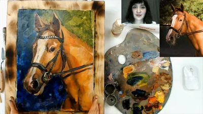 Раскраски лошадь, Раскраска лошади рисунки Лошадь.