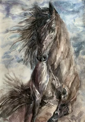 рисовать иллюстративный рисунок лошади на белом фоне Иллюстрация штока -  иллюстрации насчитывающей лошадь, карандаш: 262875369