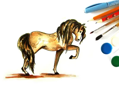 карандашный рисунок лошади, нарисованные лошади картинки, лошадь, перевозка  фон картинки и Фото для бесплатной загрузки