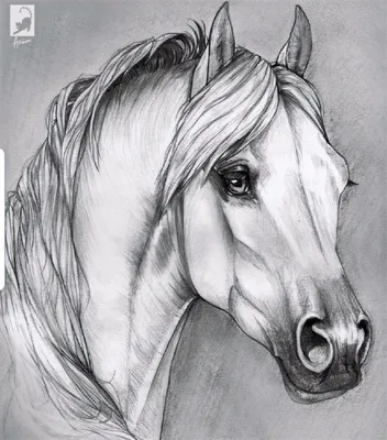 Красивые лошади» — создано в Шедевруме