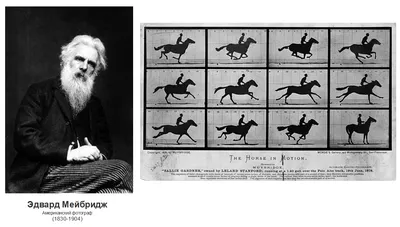 Лошадь в движении стоковое изображение. изображение насчитывающей  конноспортивно - 97859265