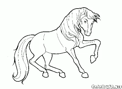Лошади в движении стоковое фото ©callipso_art 163412704
