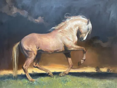 Фотообои Портрет трех лошадей в движении артикул Anm-194 купить в  Оренбург|;|9 | интернет-магазин ArtFresco