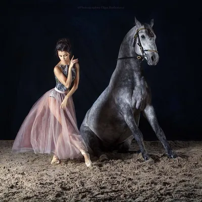 Купить белая лошадь в движении, алмазная вышивка за 654.00 р в  Санкт-Петербурге с доставкой