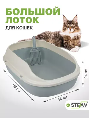 Туалет лоток для кошек большой с высоким бортом и совком Stefan 17958740  купить за 1 862 ₽ в интернет-магазине Wildberries