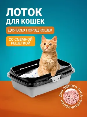 Закрытый лоток для кошки Pidan ИГЛУ, белый - купить в Москве в  интернет-магазине VseKogtetochki.ru