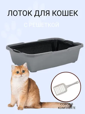 Закрытый туалет Makar \"Фэнтези\" - «Царский лоток для кошки! Плюсы и минусы  закрытого лотка, на что обратить внимание при покупке. И как приучить к  закрытому лотку. » | отзывы