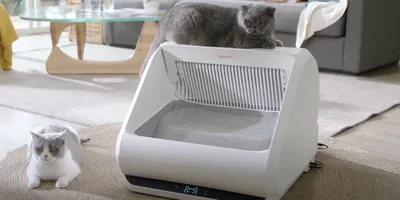 Xiaomi создала умный туалет для кошек