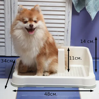 Туалет лоток для собак Stefan с сеткой мини XS 46х34см серый купить по цене  921 ₽ с доставкой в Москве и России, отзывы, фото