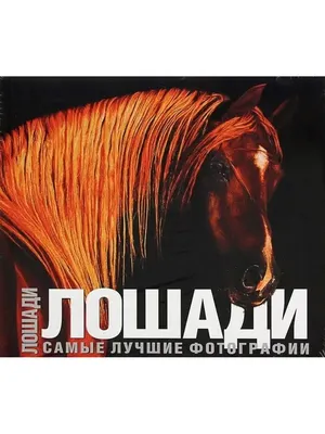 Интерьерная картина на холсте Черная и белая лошадь, Пара лошадей,  Романтика, Красивые лошади 60х40 (ID#821615746), цена: 562.25 ₴, купить на  Prom.ua