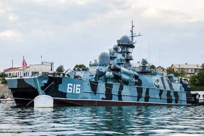 В Сирию прибыл отряд из шести военных российских кораблей :: Новости :: ТВ  Центр