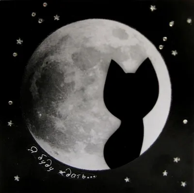 Картина по номерам \"Лунный кот\"