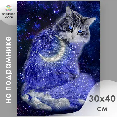 BROSHKA | Брошь-значок Лунный кот на метле чёрная BRGV111803 Цена