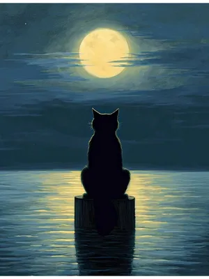 Лунный кот картинки - 69 фото