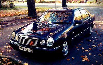 Mercedes-Benz W210 - \"Лупатый\" | Cars history | Дзен