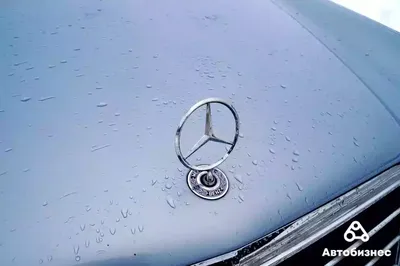 Mercedes-Benz CLK (W208) 2.3 бензиновый 1998 | Лупатый купе на DRIVE2