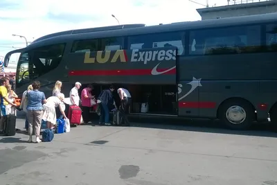 Автобус Lux Express столкнулся с грузовиком в Ленобласти, погиб один  человек | Происшествия | ERR
