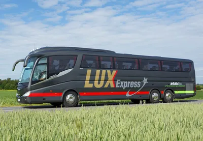 Lux Express будет вместо SEBE обслуживать автобусные линии «Ежечасного  экспресса»