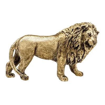 Раскраска Лев рычит | Раскраски из мультфильма Король лев (Lion King)