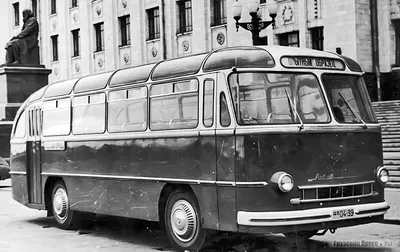 Львовские автобусы. Эпоха 695 | Общественный транспорт | Дзен