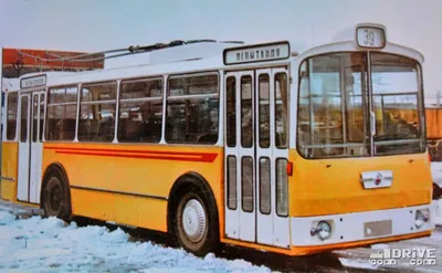 Изменения общественного транспорта: во Львове запустят новые автобусы