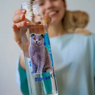Сувенир украшение ручной работы для любителей кошек пушистая кошка |  Интернет-магазин подарков Ларец