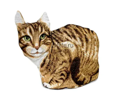 Костюм для котов, кошек и собак (кошачья одежда) КАРТОФАН. 13617459 купить  в интернет-магазине Wildberries