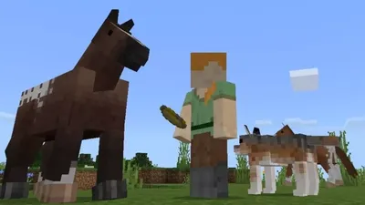Red fox Minecraft Mob Серый волк, Mincraft, млекопитающее, carnivoran,  собака Like Mammal png | Klipartz