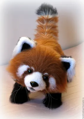 Playful | Red Panda ----Calgary Zoo | Nancy Chow | Flickr