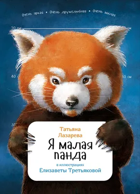 Красная панда, Firefox или Малая панда Ailurus fulgens на дереве - Ozero -  российский фотосток